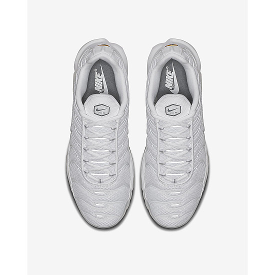 Nike Air Max Plus Cool Grey/White