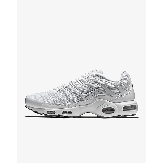 Nike Air Max Plus Cool Grey/White