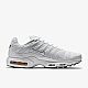 Nike Air Max Plus Cool Grey/White