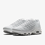 Nike Air Max Plus Cool Grey/White