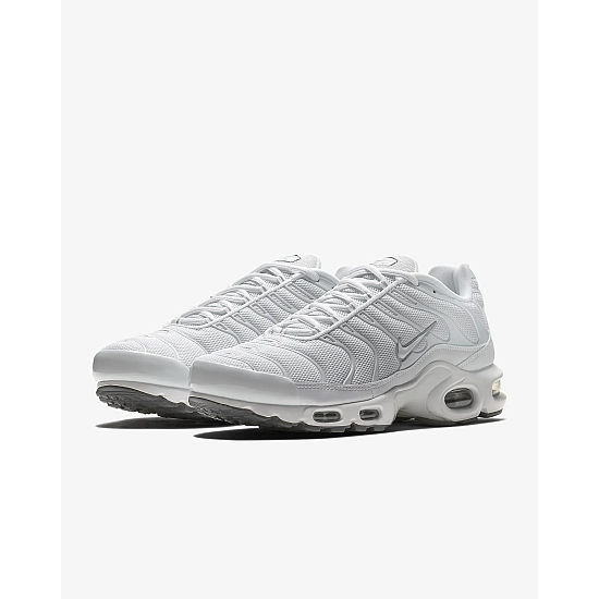 Nike Air Max Plus Cool Grey/White