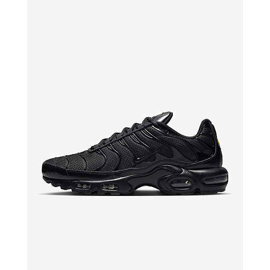 Nike Air Max Plus Black/Black